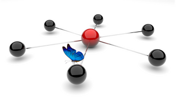 PCC Starter Bundle - 1st Month